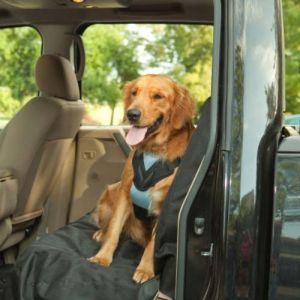 Dog Travel Harness