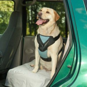 Dog Travel Harness