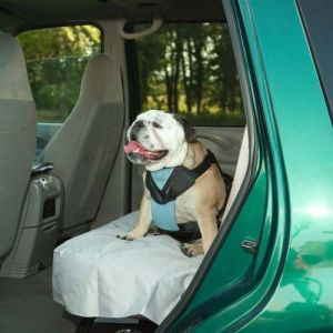 Dog Travel Harness