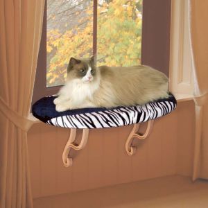 Kitty Sill
