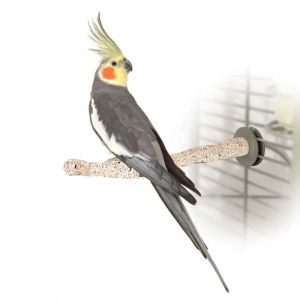Bird Sand Thermo-Perch