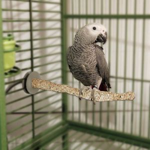 Bird Sand Thermo-Perch