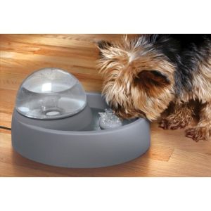 Pet Vision Live