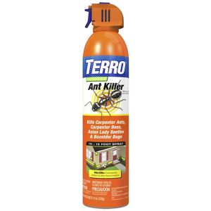 Outdoor Aerosol Ant Killer 19 ounces
