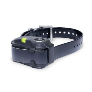 No Bark Dog Collar for Smaller Dogs